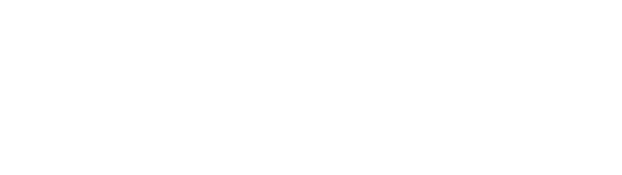 Logo Brainy Półkolonie Wrocław